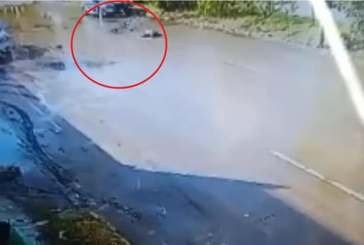 Patrulla atropelló a ciclista de la tercera edad en Puebla; lo declaran con muerte cerebral