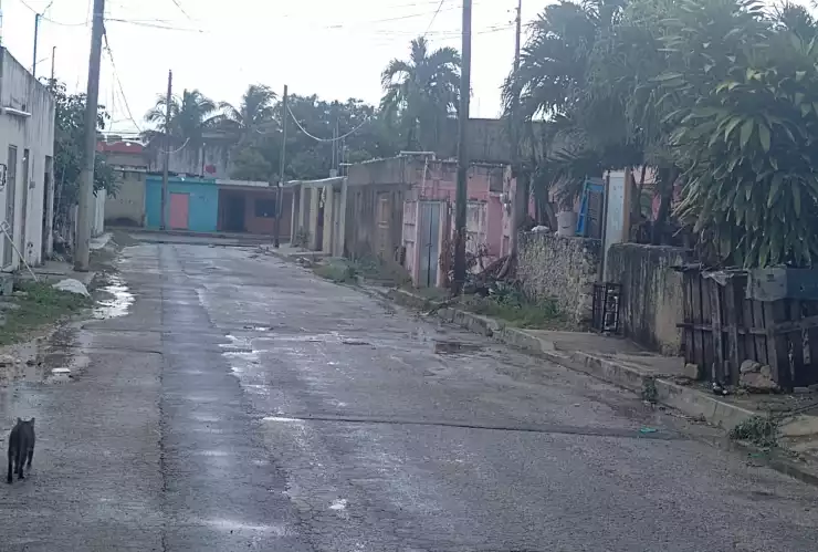 Hallan cuerpo de mujer sin vida en la SM 67 de Benito Juárez (2