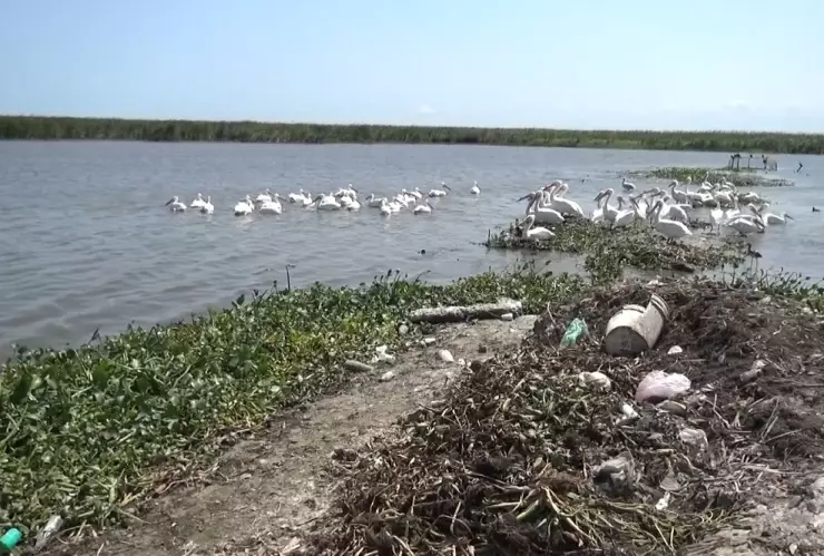 PRESA TAMAULIPAS.jpg