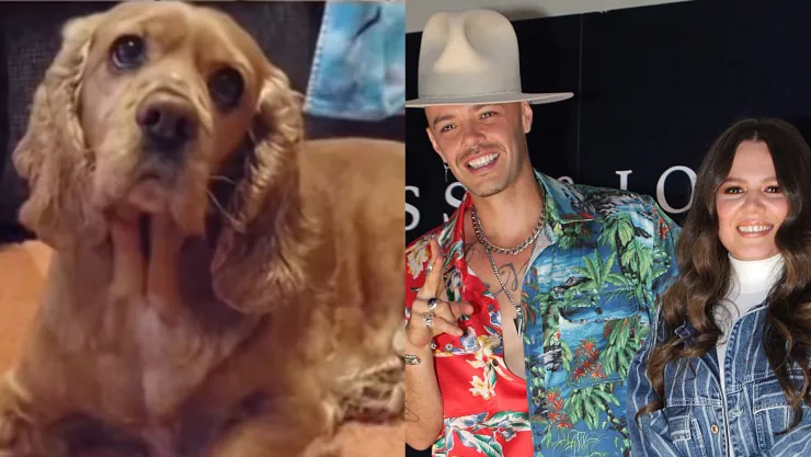 Jesse & Joy Con quien se queda el perro.