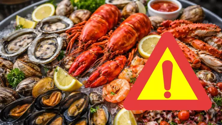 ¿Comiste mariscos? Alertan por este virus que provoca ceguera