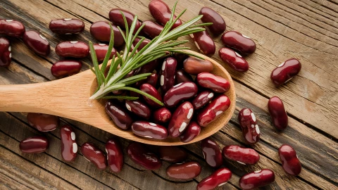 superalimento mexicano Profeco