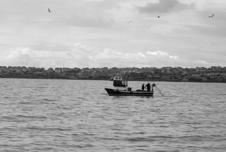 Vaquitas Marinas: ¿Cuántas quedan en México?