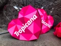Calzado Tropicana
