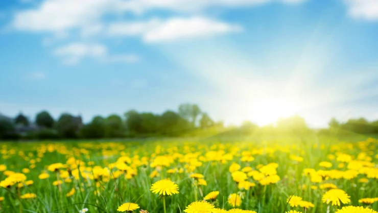 clima soleado