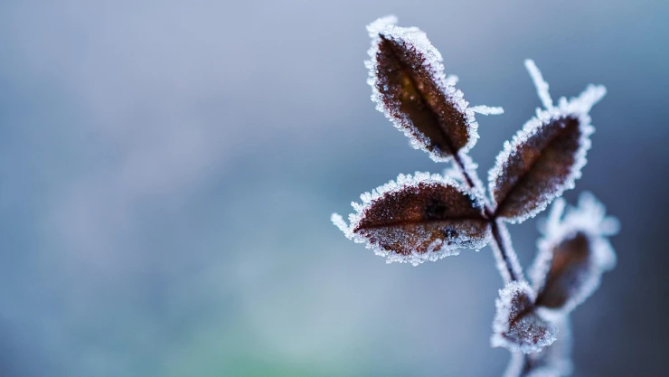 Clima Querétaro HOY jueves 23 de enero 2025