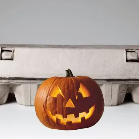 Cómo reutilizar el cartón de huevos y hacer unas bonitas calabazas para decorar en Halloween