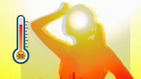 Golpe de calor causa más de 55 mil muertes al año