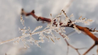 Frío más intenso de la década.png