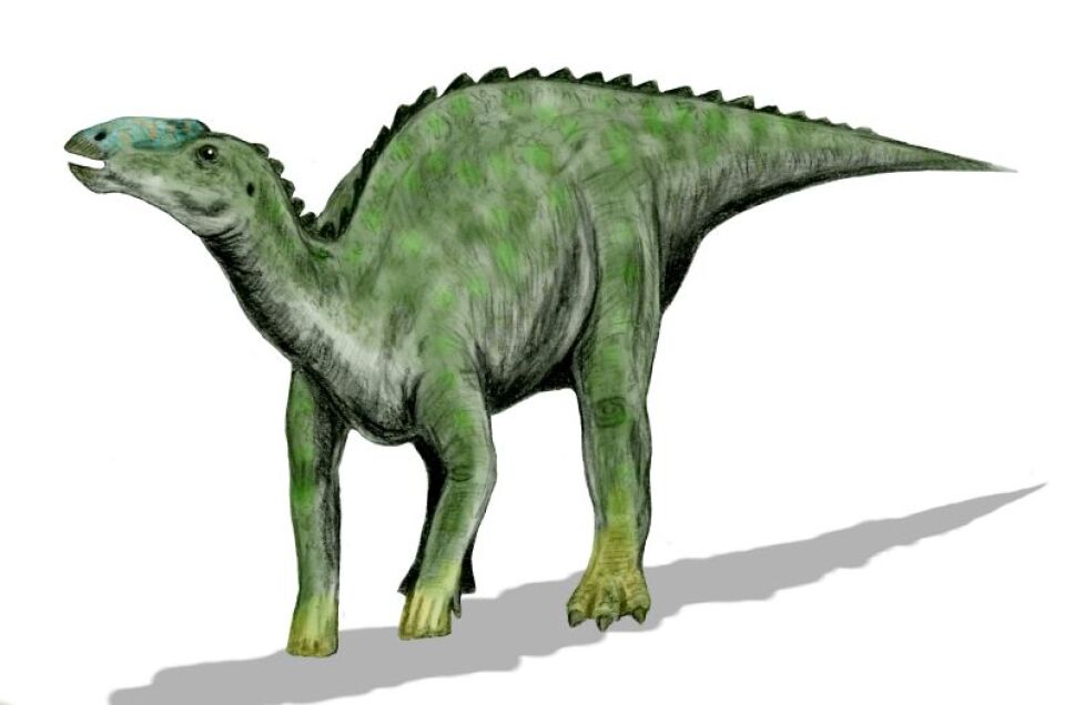 Dinosaurios, México 4.jpg