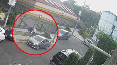 Mujer golpeada en Coyoacán cuando paseaba a sus perros.