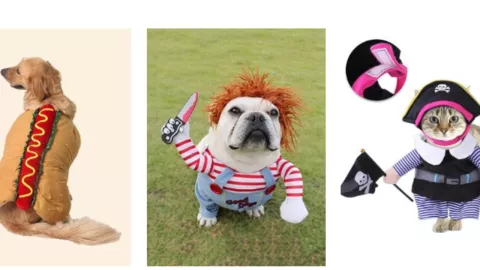 Disfraces de Halloween