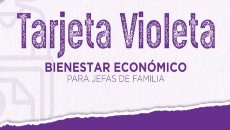 Registro Tarjeta Violeta 2026 Guerrero: municipios, requisitos y fechas para solicitar el apoyo