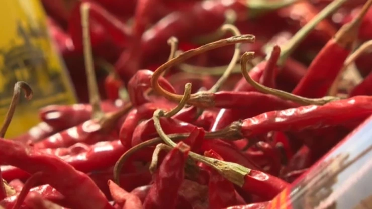 chile yahualica usurpado.jpg