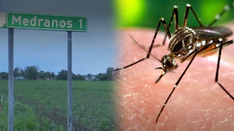 ¿Dónde hay mayor cantidad de casos de dengue, en Guanajuato?