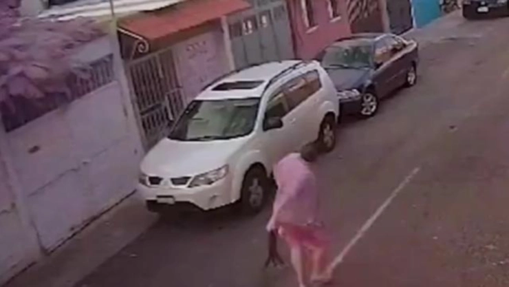 VIDEO: Identifican a sujeto que agredió a gato en Querétaro