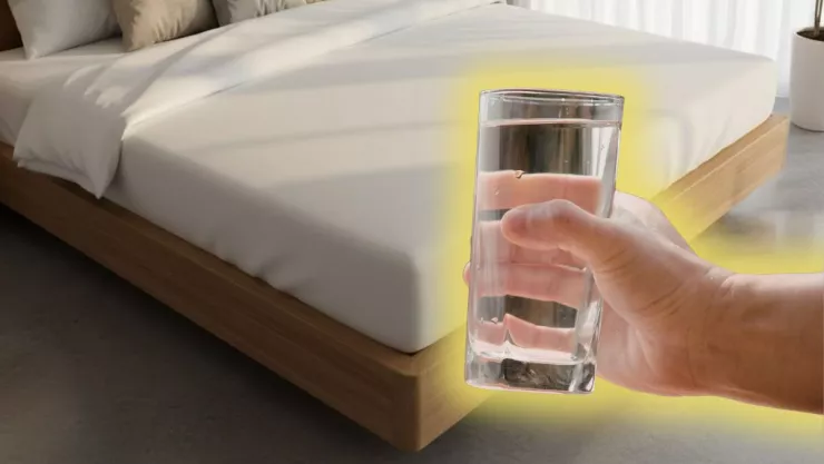 /estilo-de-vida/vaso-de-agua-bajo-cama-feng-shui