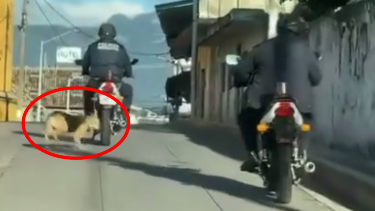 Policía arrastrando un perro en Veracruz