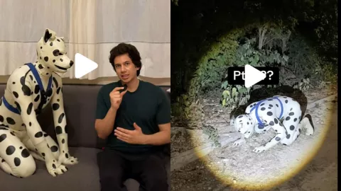 /famosos/que-significa-ser-influencer-therian