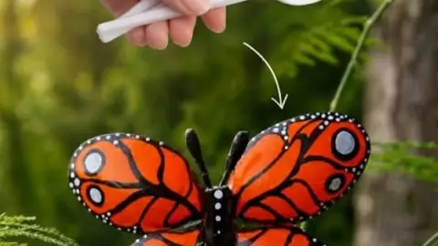 mariposas.jpg