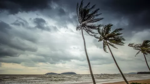 tormenta tropical lidia