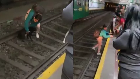 Abandonan a perrito en Guadalajara; mujer se lanza a las vías del tren para rescatarlo