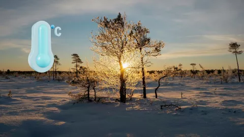 Clima en Zacatecas ¿Cuál será la temperatura mínima el 31 de diciembre del 2025 en la capital