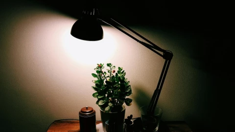 Apagón programado en Zimapán: información esencial sobre la interrupción eléctrica del 27 de junio de 2025.