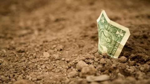 ¿Regresó el súper peso? Así se cotiza el DÓLAR HOY 15 de septiembre en Jalisco y México