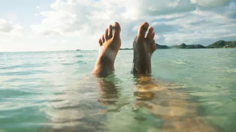 Ciclo escolar 2023-2024