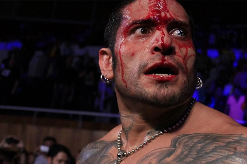 Luchador Cibernético