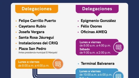 modulos qrobus.jpg