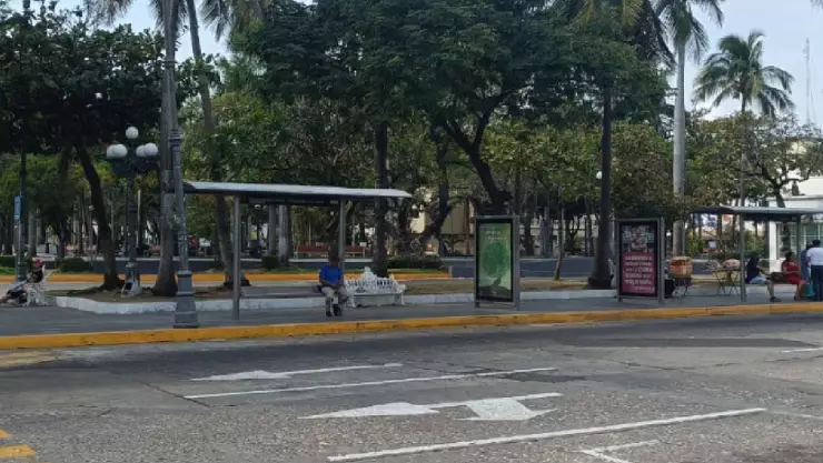 ¿NO HABRÁ CAMIONES este 25 de diciembre de 2025? Estas son las rutas alternas que SÍ estarán operando en VERACRUZ