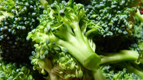 brocoli