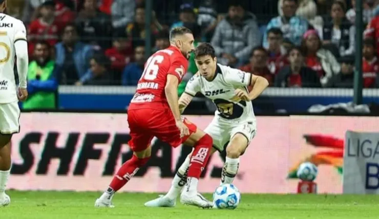 Pumas
