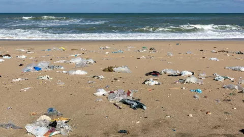 Playas mas sucias en Mexico