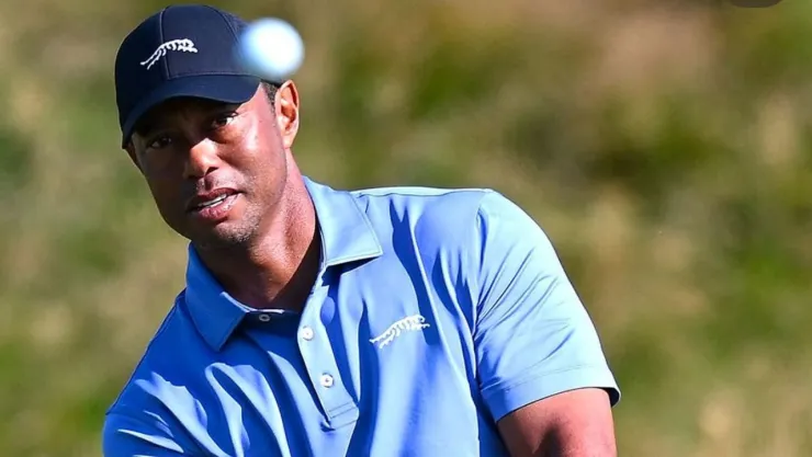 tiger woods