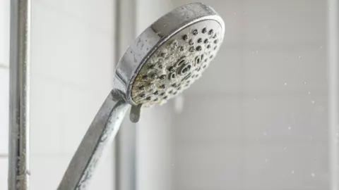 Sarro llaves o regadera