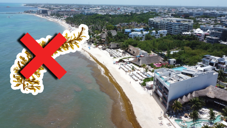 Playas libres de sargazo en Quintana Roo HOY 23 de agosto de 2025_ Lista desde Holbox, Cancún y hasta Tulum.jpg