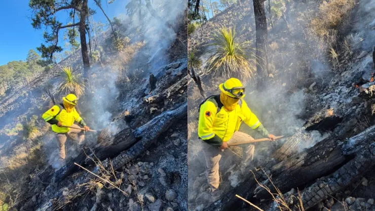 FOTOS: Incendio forestal consumió hasta 15 hectáreas del cerro de Calzacata en Cuyoaco hoy; así quedó