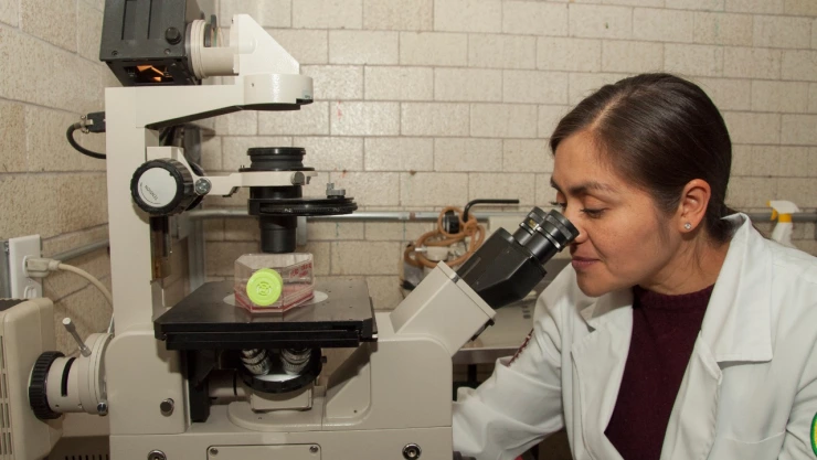 El IPN participa en un proyecto de investigación para determinar si las vacunas contra la tuberculosis e influenza, confieren a las personas una posible inmunidad cruzada contra el COVID-19.