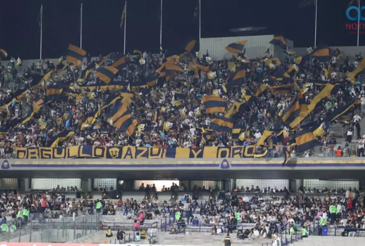 Hombres prefieren ver futbol que tener sexo