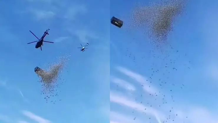 Influencer deja caer un millón de dólares