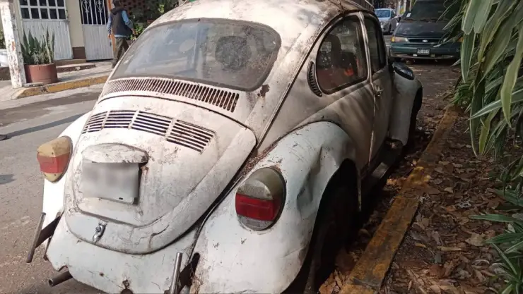 auto maceta en Veracruz