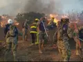 Al momento hay 1,645 personas evacuadas y 3 refugios activos. La mayor afectación se reporta en Ensenada (5,000 hectáreas) y Tecate (1,250 hectáreas).