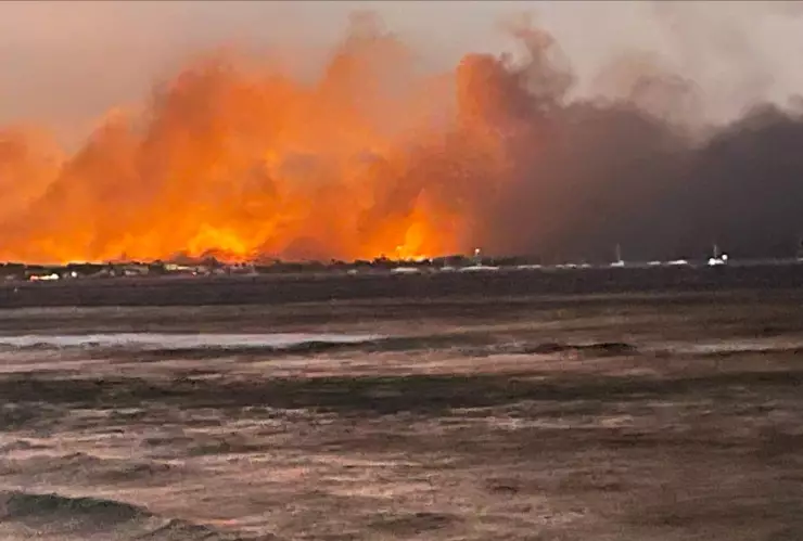 Mujer sobrevive 5 horas en el océano para escapar de los incendios en Hawái