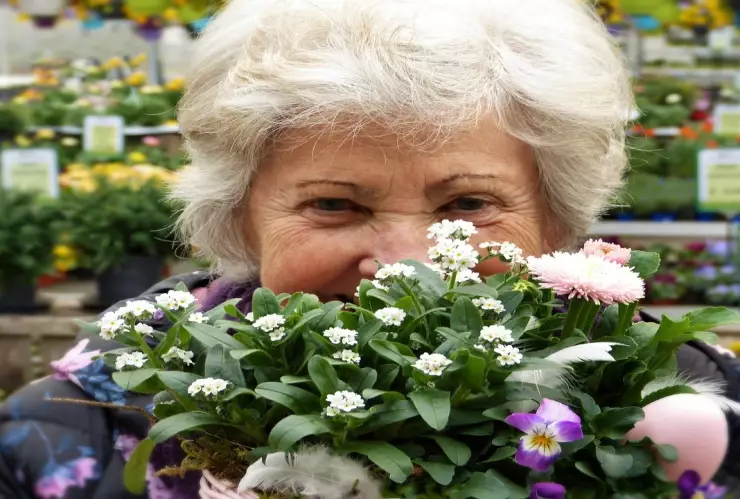 Somnolencia diurna y demencia