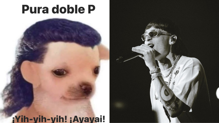 Cabello de Peso Pluma