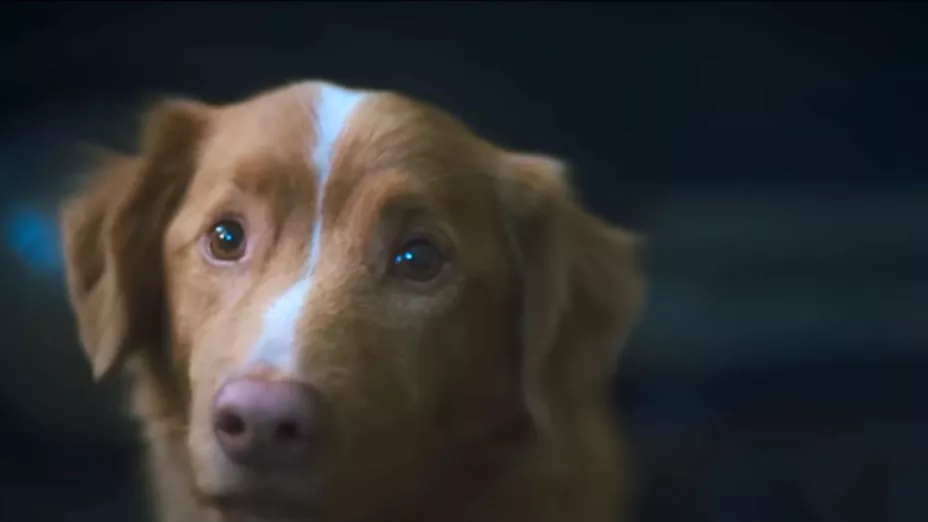 ¿El perro de Good Boy muere?