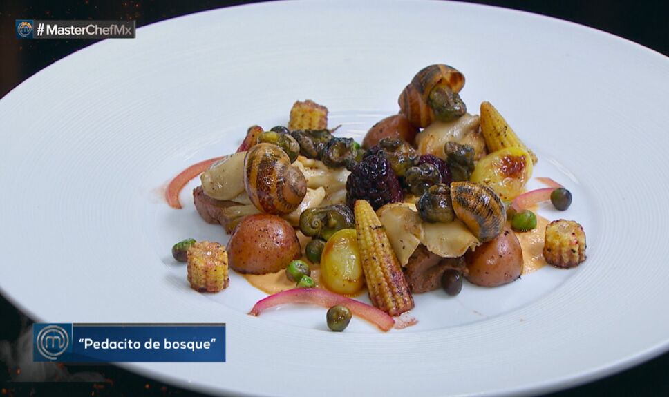 Platillos MasterChef México, pedacito de bosque